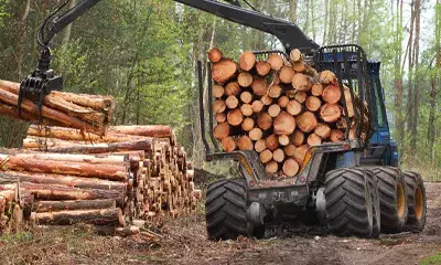 Quelles sont les particularités des pneus forestiers ?