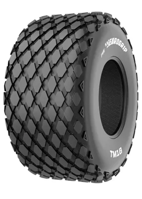 Pneu agricole EUROGRIP 8.3-20 6PR TR18 R-1 TT