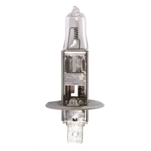AMPOULE H1 BOITE