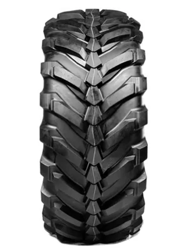 EVOBIB