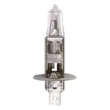 AMPOULE H1 VRAC
