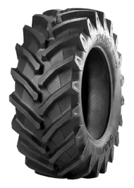 TM800