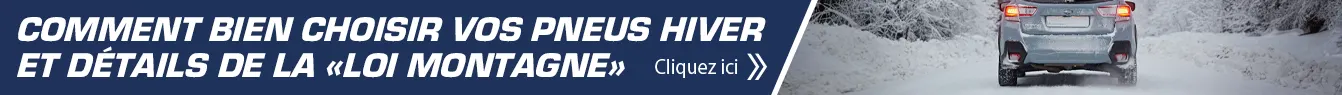 Bandeau de lien vers notre article sur la loi montagne