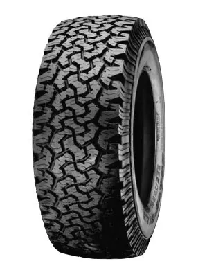 Pneu 4x4 - SUV BLACKSTAR 255/55R18 109Q GLOBE TROTTER M+S TL
