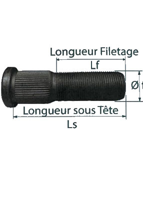 Goujons 18x1.5 longueur 70/45 sachet de 8 (REF 435101606)