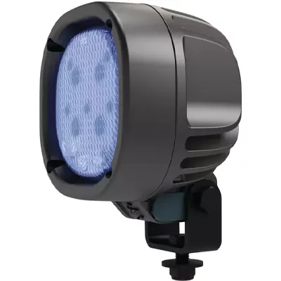 Feu avicole bleu TYRI modèle BLUEBIRD 1010 - 4 LEDs 15W - intensité 600 candelas